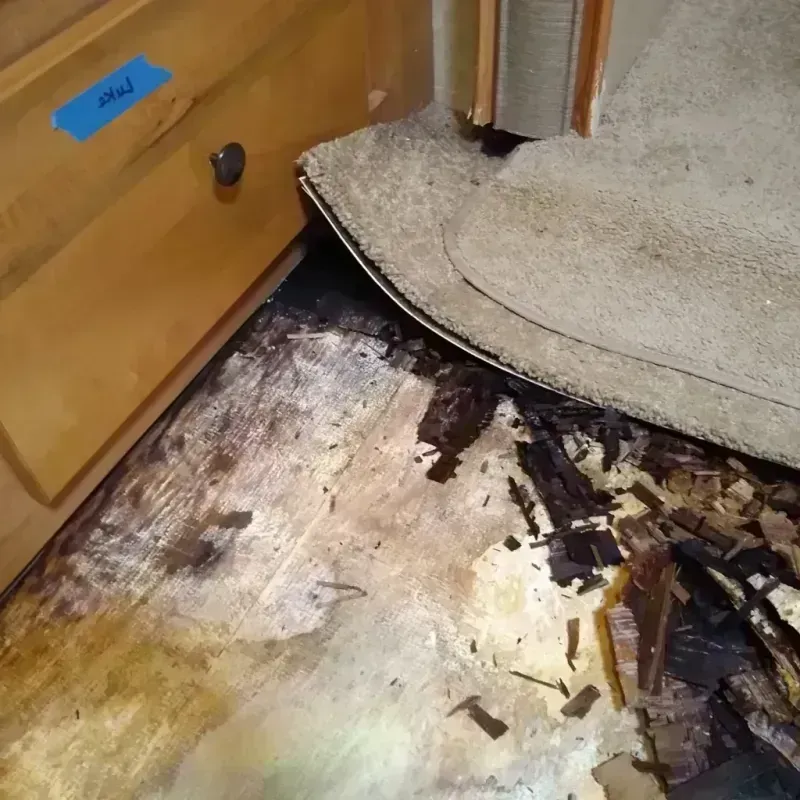 Best Wood Floor Water Damage Service in Picayune, MS